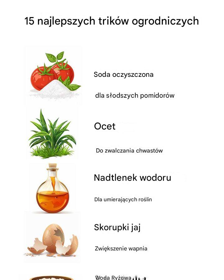 15 najlepszych trików ogrodniczych