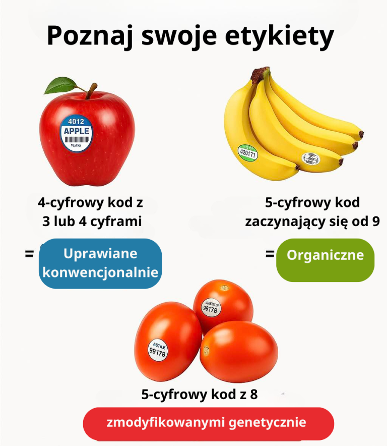 różnice w produkcji żywności: konwencjonalna, genetycznie modyfikowana i ekologiczna