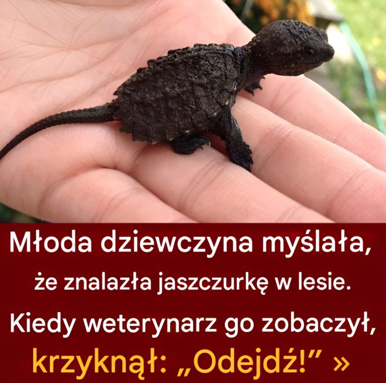 Dziewczyna myślała, że ​​znalazła jaszczurkę – kiedy weterynarz to zobaczył, nie mógł uwierzyć własnym oczom