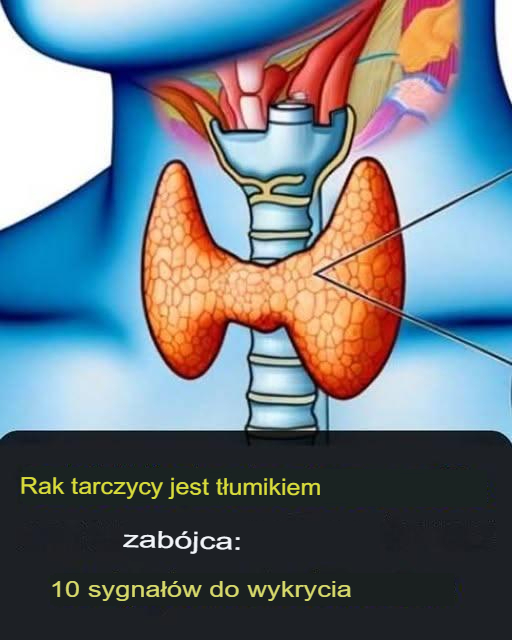 Tarczyca: 3 objawy, które mogą wskazywać na nowotwór
