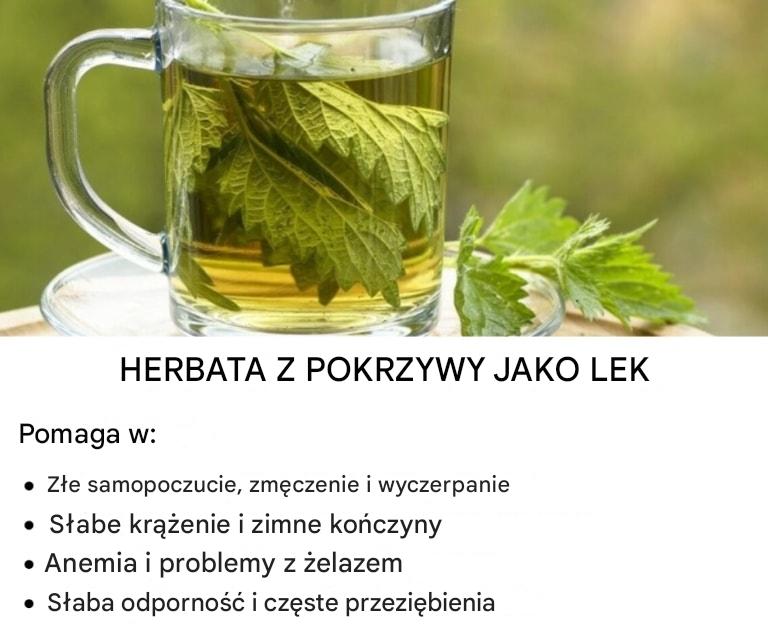Herbata z pokrzywy jako lekarstwo – Oto jak się ją przygotowuje i na jakie choroby pomaga