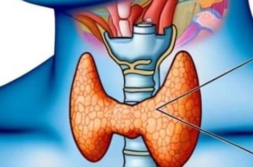 Rak tarczycy: Te trzy objawy powinny Cię zaniepokoić