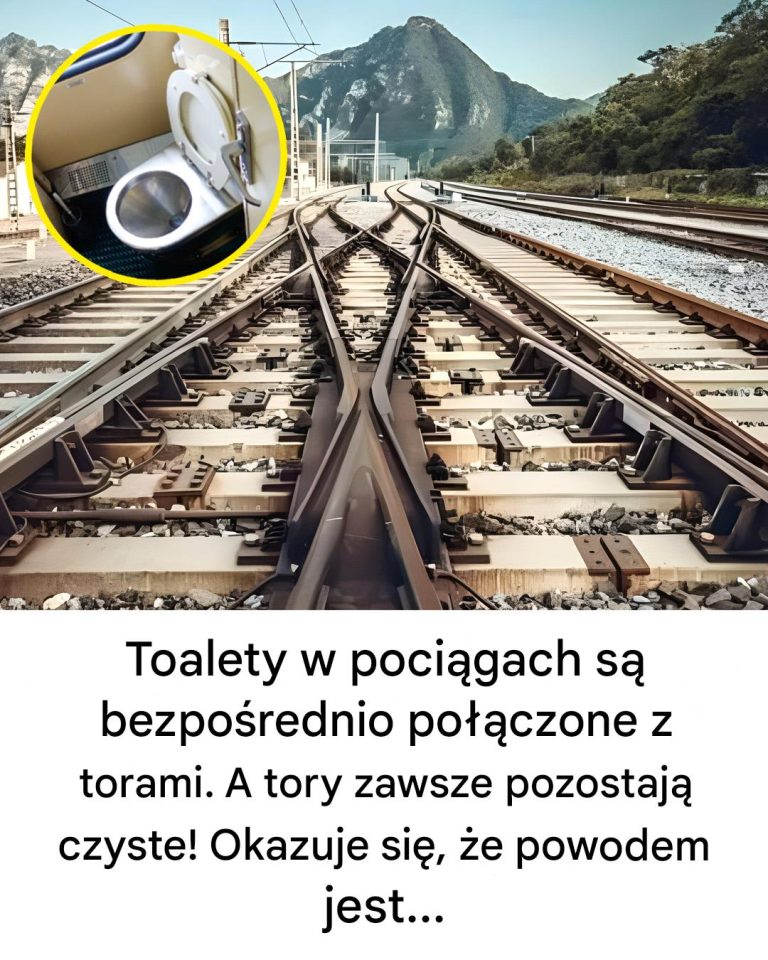 Dlaczego tory kolejowe zawsze pozostają czyste?