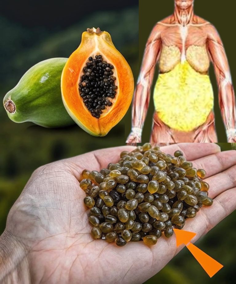 Nasiona papai – domowy skarb, który może zastąpić aptekę