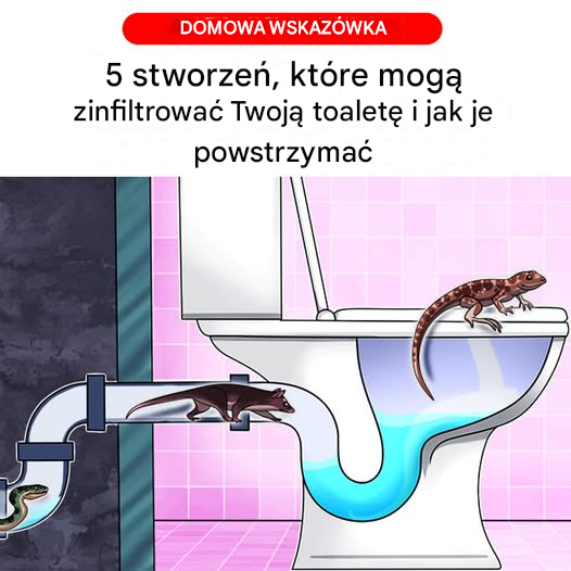 5 stworzeń, które potrafią wkraść się do toalet i jak im to uniemożliwić