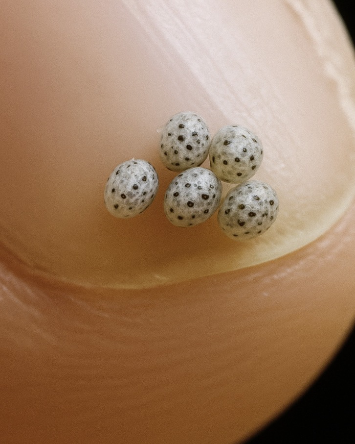 Zamówiliśmy sałatkę, ale w jedzeniu były małe czarne plamki – trafiliśmy prosto do szpitala