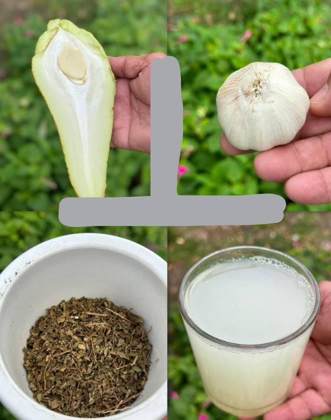 Napój, który opróżni szpitale, ponieważ zwalcza problemy z trzustką, cukrzycę, choroby wątroby, problemy z krążeniem i raka, nie wydając na Ciebie pieniędzy.