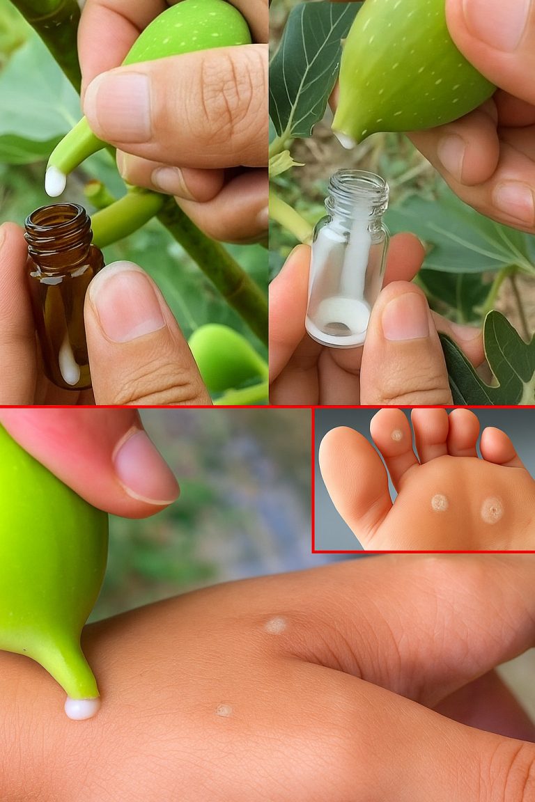 Sok z drzewa figowego: naturalny środek na skórę, trawienie i codzienne dobre samopoczucie