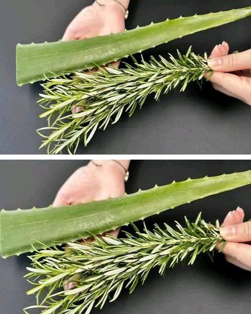 Wymieszaj rozmaryn z aloesem, a po zaledwie 2 minutach podziękujesz mi