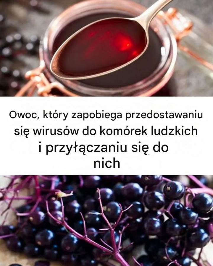 Owoc, który zapobiega przedostawaniu się wirusów do komórek ludzkich i przyłączaniu się do nich