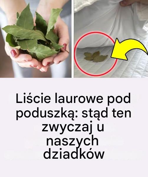 Liście laurowe pod poduszką: stąd ten zwyczaj u naszych dziadków