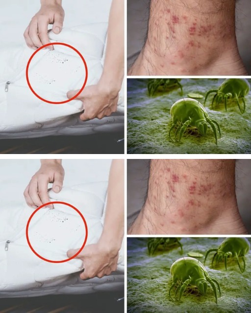 Jak pozbyć się roztoczy z łóżka?