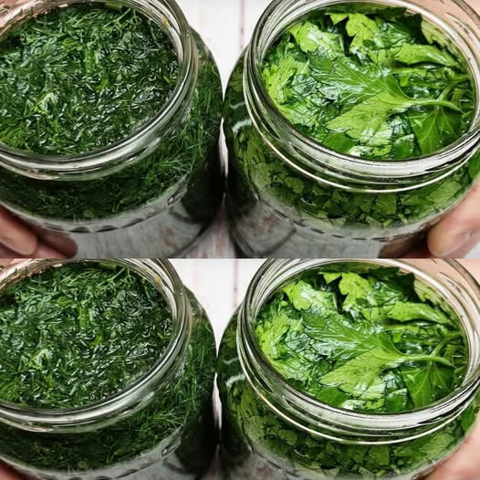 Zachowaj smak i aromat świeżych ziół. Jak przygotować koperek i pietruszkę do przyszłego wykorzystania