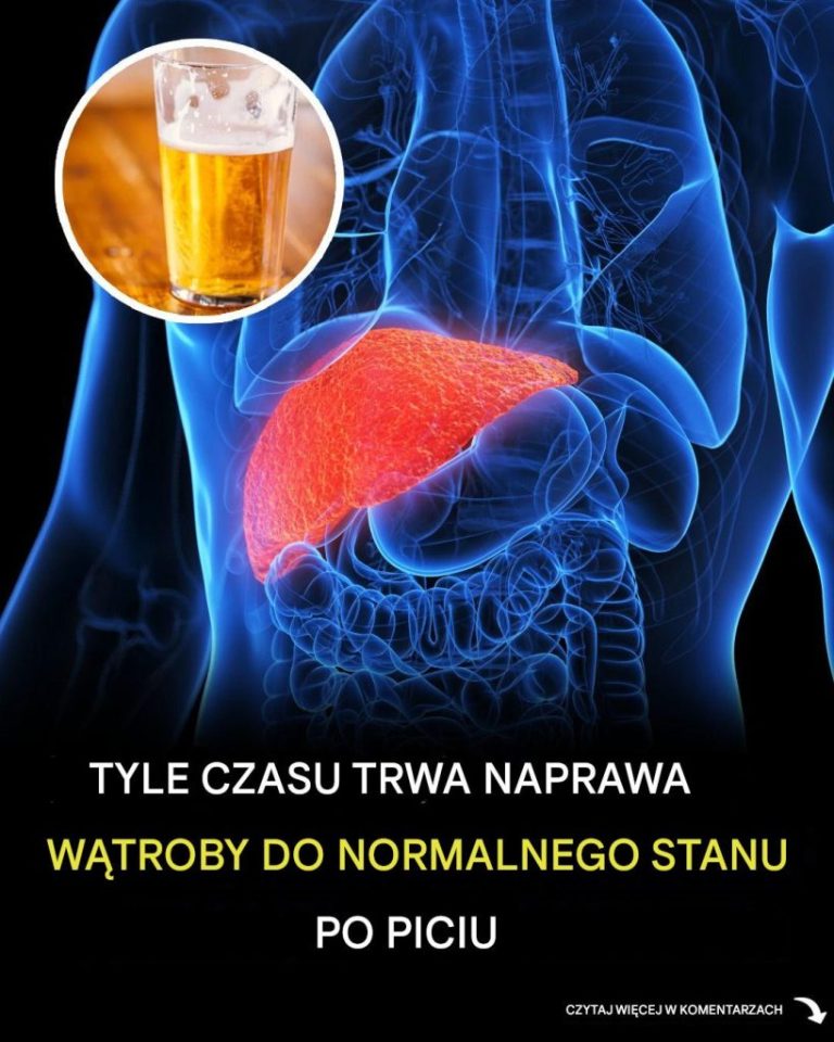 Tyle czasu zajmuje Twojej wątrobie powrót do normy po piciu