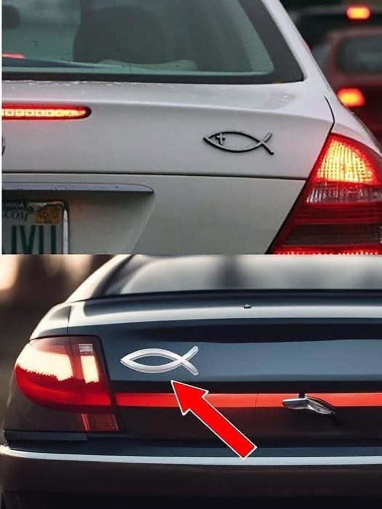 Co oznacza naklejka z rybą na tylnej klapie samochodu?