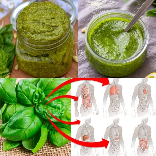 10 niesamowitych korzyści zdrowotnych bazylii, które powinieneś znać