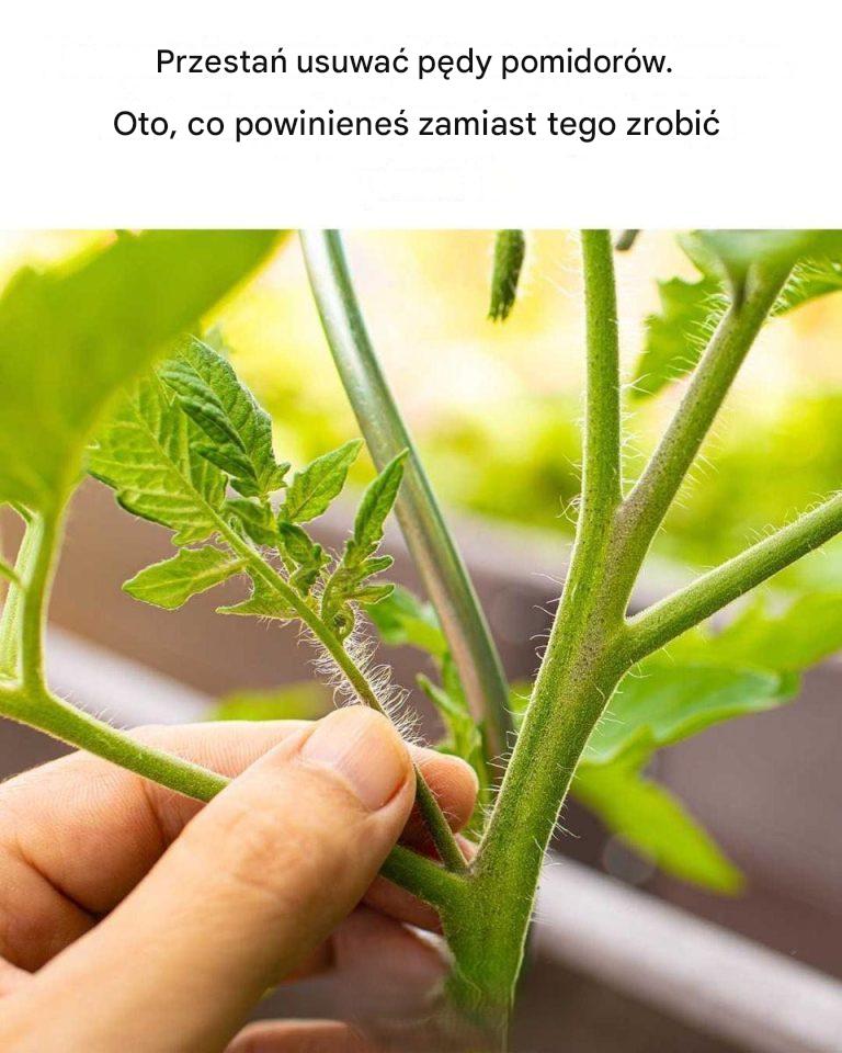 To dla mnie nowość!