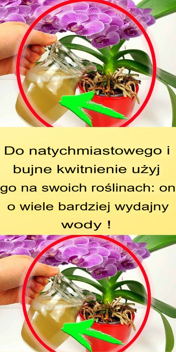 Natychmiastowe i bujne kwitnienie — stosuj go na swoich roślinach: jest o wiele skuteczniejszy niż woda!