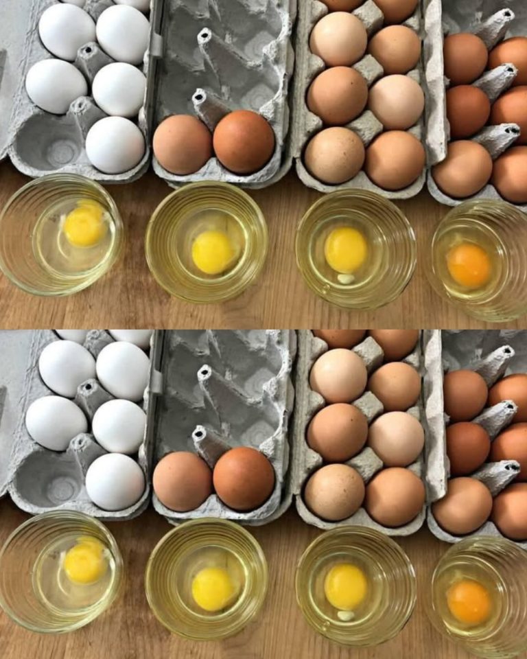 Prawdziwy sekret kurczaków z wolnego wybiegu