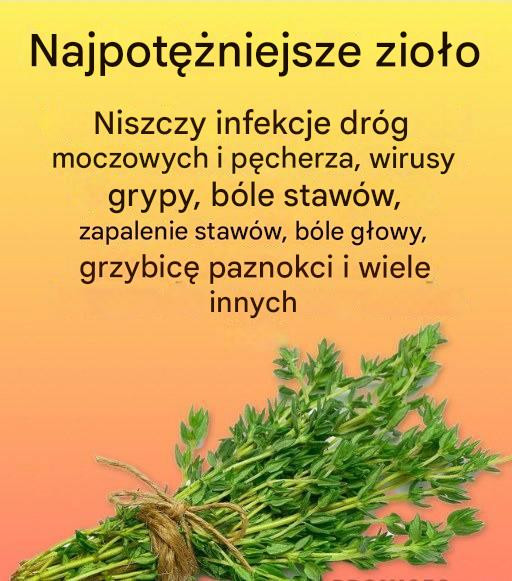 Naturalny środek na pasożyty i infekcje dróg moczowych
