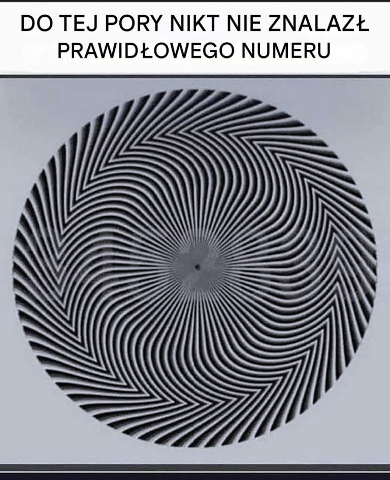 Jaka liczba pojawia się przed twoimi oczami? Ta iluzja optyczna wywołuje debatę wśród internautów!