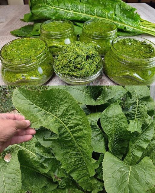 Niezwykłe korzyści z liści chrzanu: Twój przewodnik po zdrowiu i kulinarnej kreatywności