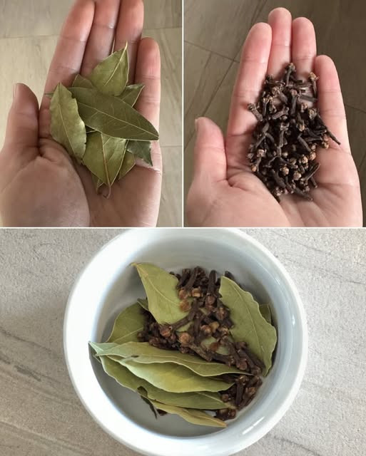 Wymieszaj liście laurowe i goździki: potężny duet dla zdrowia, domu i dobrego samopoczucia!