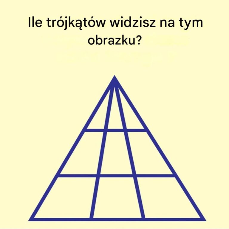 Ile Twoim zdaniem trójkątów jest tu ukrytych?
