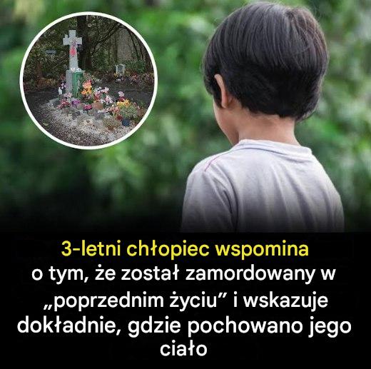 Małe dziecko twierdzi, że pamięta, jak w poprzednim życiu zostało zamordowane i wskazuje miejsce, w którym zostało pochowane.