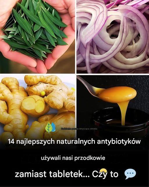 14 najlepszych naturalnych antybiotyków, które nasi przodkowie stosowali zamiast tabletek