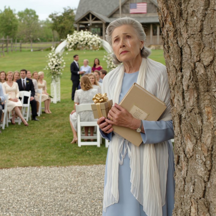 Dzień przed ślubem narzeczona mojego syna pochyliła się w moją stronę i szepnęła: „Pojutrze nie będziesz już częścią rodziny”. Następnego dnia nie uczestniczyłam więc w ich idealnej ceremonii plenerowej w Ameryce, obserwując ich z drzew, zmuszając się do lekkiego, gorzkiego uśmiechu, po czym odwróciłam się i cicho wyszłam, zanim ktokolwiek zorientował się, że matka pana młodego nigdy nie była mile widziana.