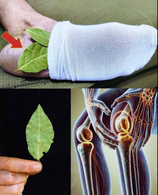 Połóż liść laurowy pod stopami i obserwuj efekty